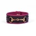 Snaffle Bit