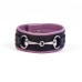 Snaffle Bit