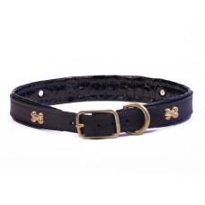 Padded Dog Collar with Dog Bones