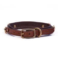 Padded Dog Collar with Bits