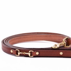 Padded Dog Leash with Bits