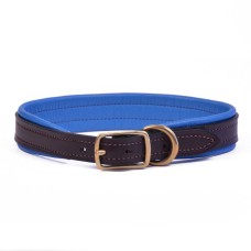 Padded Dog Collar