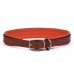 Padded Dog Collar