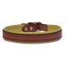 Padded Dog Collar