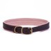 Padded Dog Collar