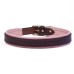 Padded Dog Collar