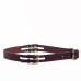 Show Barn Belt
