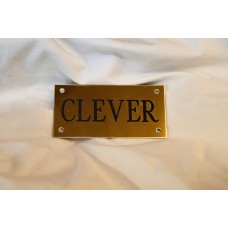 Tack Trunk Plate